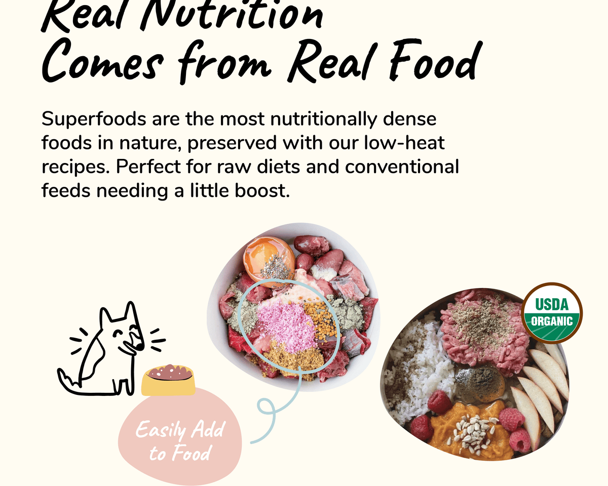 Premium Organic Coconut Oil Pet Supplement for Dogs & Cats - Natural Skin & Coat Care, Soothes Itchy Skin & Dry Noses - Cold Pressed Extra Virgin - Made in the USA