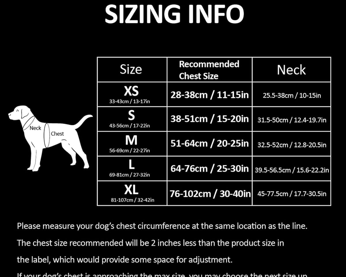 Truelove Adjustable No-Pull Dog Harness with Reflective Vest, Blue, Size XS - Enhanced Comfort and Visibility (Model TLH5651)