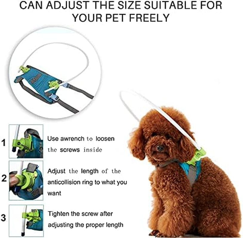 Adjustable Lightweight Blind Dog Harness Vest with Halo - Enhance Safety and Confidence for Your Pet (Blue-Green, XX-Small)