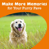 Senior Advanced Cognition Bites for Dogs - Chicken Flavor, 90 Count - Boost Brain Health & Memory Recall