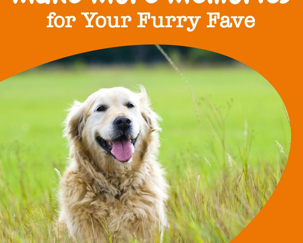 Senior Advanced Cognition Bites for Dogs - Chicken Flavor, 90 Count - Boost Brain Health & Memory Recall