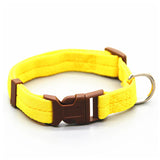 VivaNylon Adjustable Dog Collar - My Pet Collective