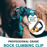 Embark Adventure Pro Leash - 6Ft Heavy-Duty Nylon Dog Leash with Climbing Rope & Carabiner for All Breeds