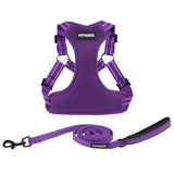 Step-In Flex Harness & Leash Set with Air Mesh