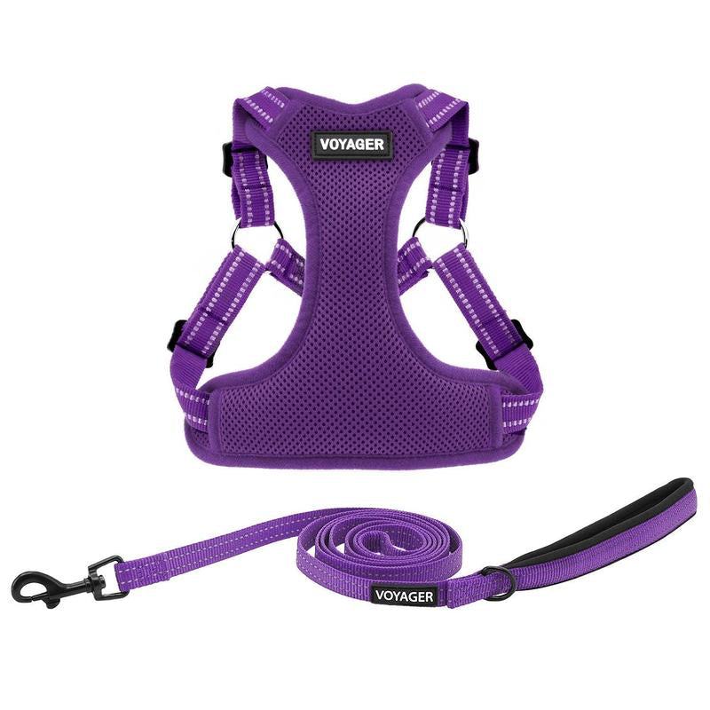 Step-In Flex Harness & Leash Set with Air Mesh