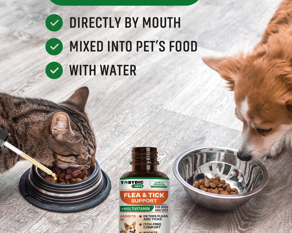 Natural Flea & Tick Prevention for Dogs - Effective Oral Control & Treatment