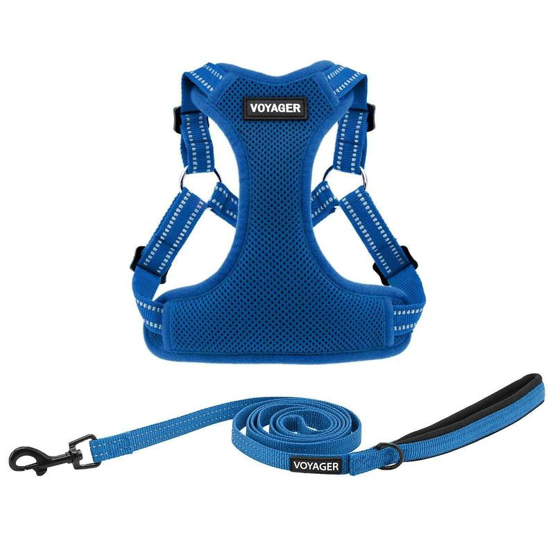 Step-In Flex Harness & Leash Set with Air Mesh