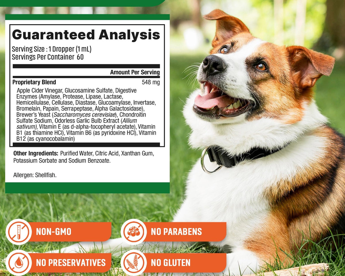Natural Flea & Tick Prevention for Dogs - Effective Oral Control & Treatment
