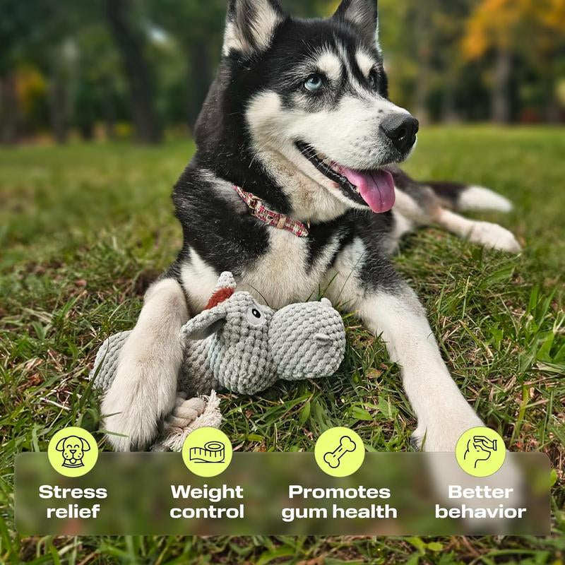 Ultimate Petspy Squeaky Dog Toy Pack - 3 Fun Chew Toys for Happy Pups!