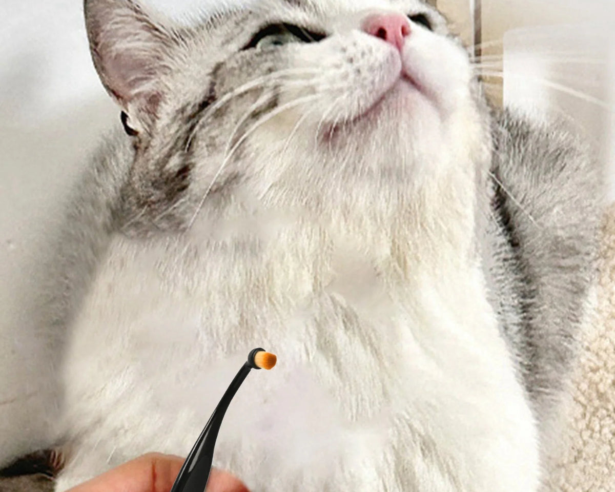 Pet Tear Stain Remover Brush - Essential Grooming Tool for Dogs and Cats, Perfect for Eye Area Hygiene!