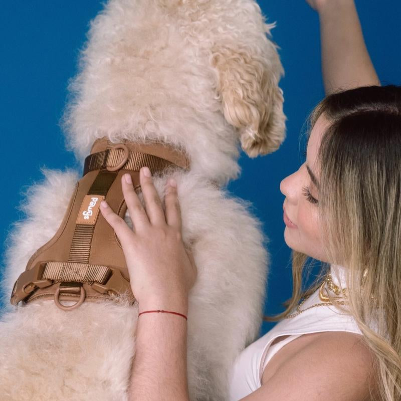 Stylish Dog Walking Experience with Space Cotton Harness