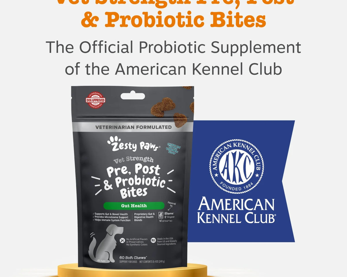 Vet-Strength Probiotic Bites for Dogs - 60 Count Gut Health Supplement for Optimal Digestion