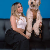 Stylish Dog Walking Experience with Space Cotton Harness