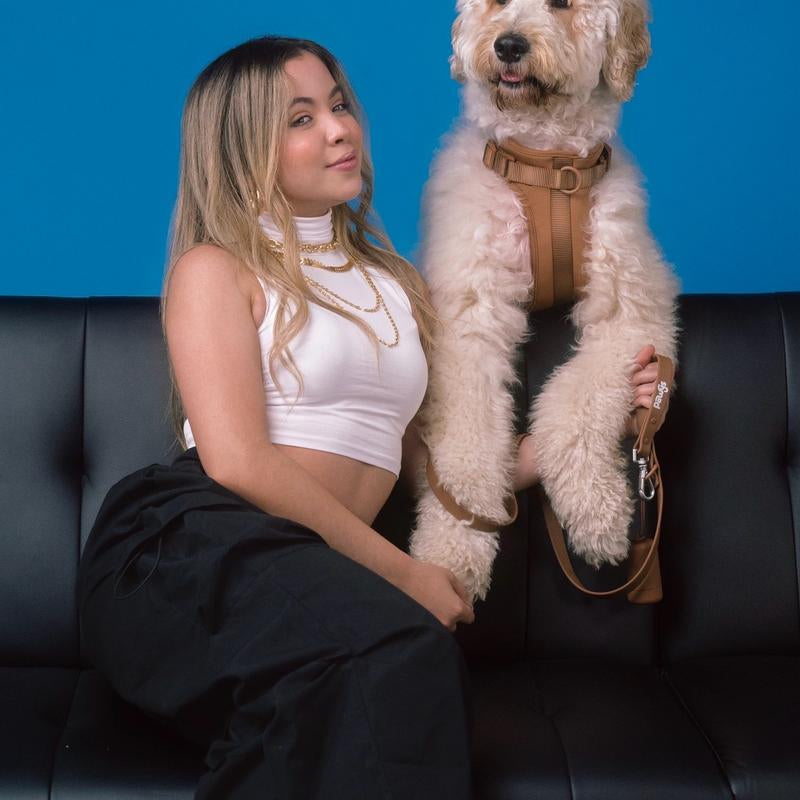 Stylish Dog Walking Experience with Space Cotton Harness