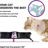 Elevated Ceramic Pet Bowls for Food and Water, 12 Ounces, Dishwasher Safe, Suitable for Cats and Small Dogs