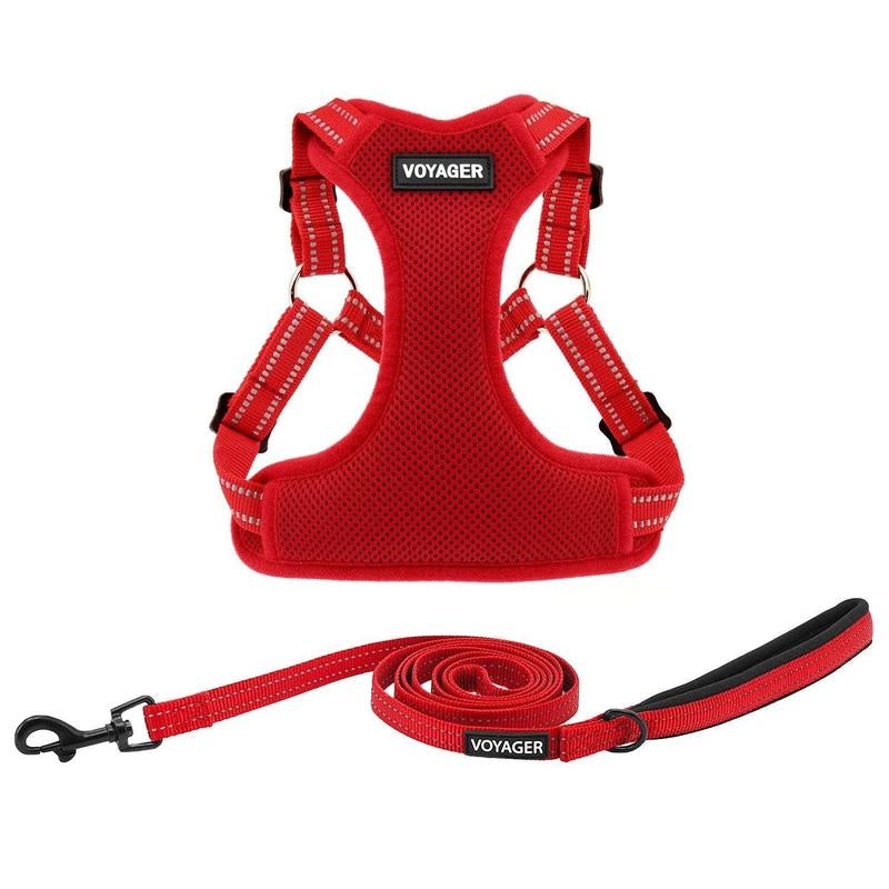 Step-In Flex Harness & Leash Set with Air Mesh