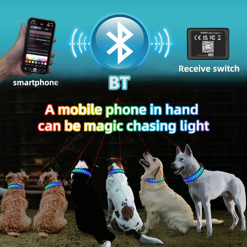 Gift for Pets, LED Light up