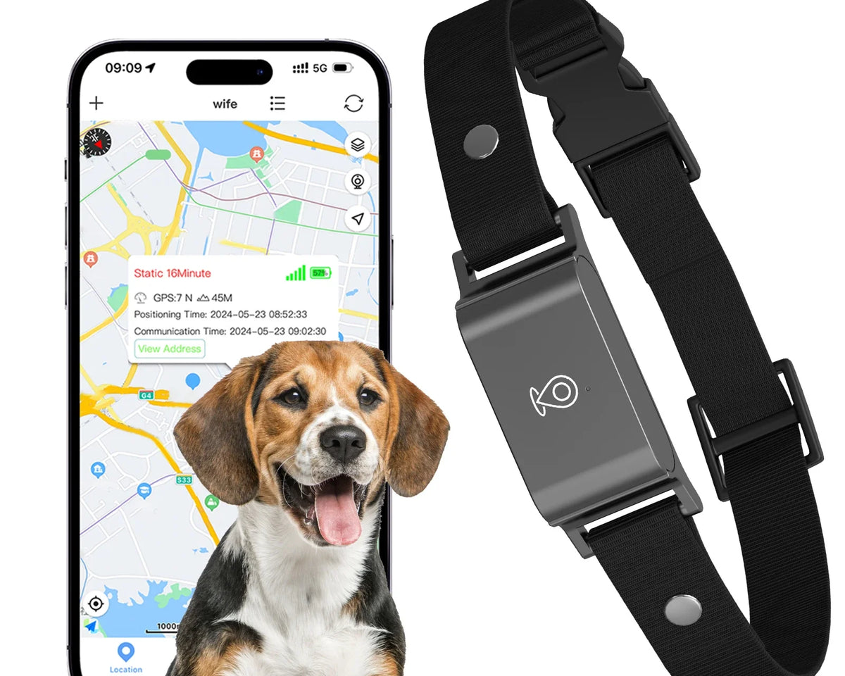 Ultimate 4G Pet GPS Tracker - Stylish Smart Collar for Dogs & Cats, Real-Time Location, Long Battery Life, Anti-Loss Solution for iOS & Android