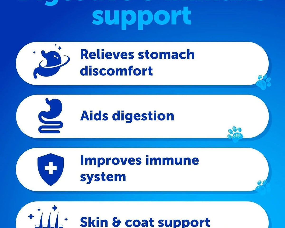 Ultimate Probiotics for Dogs - Boost Gut Health, Relieve Itchy Skin & Allergies, Strengthen Immunity & Combat Yeast