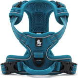 Truelove Adjustable No-Pull Dog Harness with Reflective Vest, Blue, Size XS - Enhanced Comfort and Visibility (Model TLH5651)