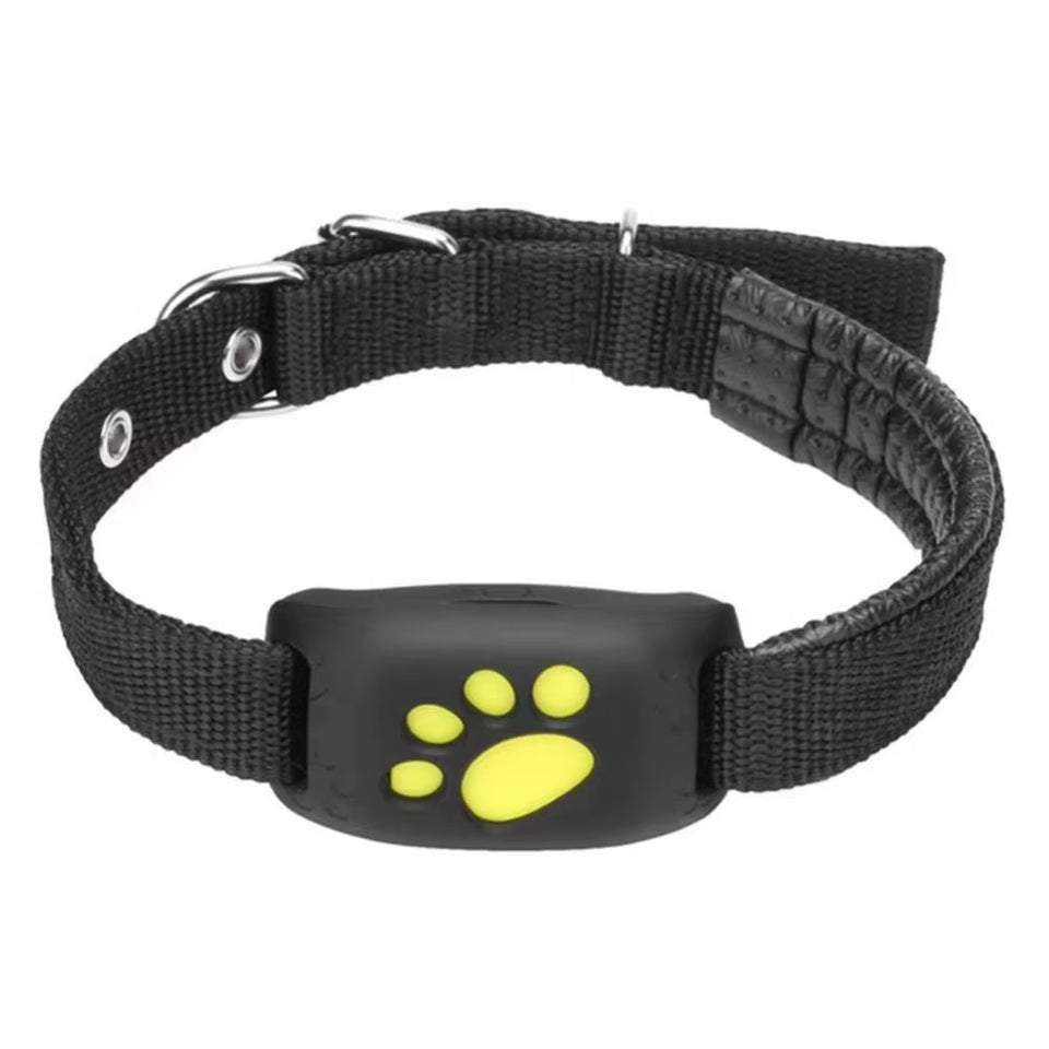 Z8 GPS Pet Tracker - Real-Time Location, Anti-Lost Collar for Dogs & Cats