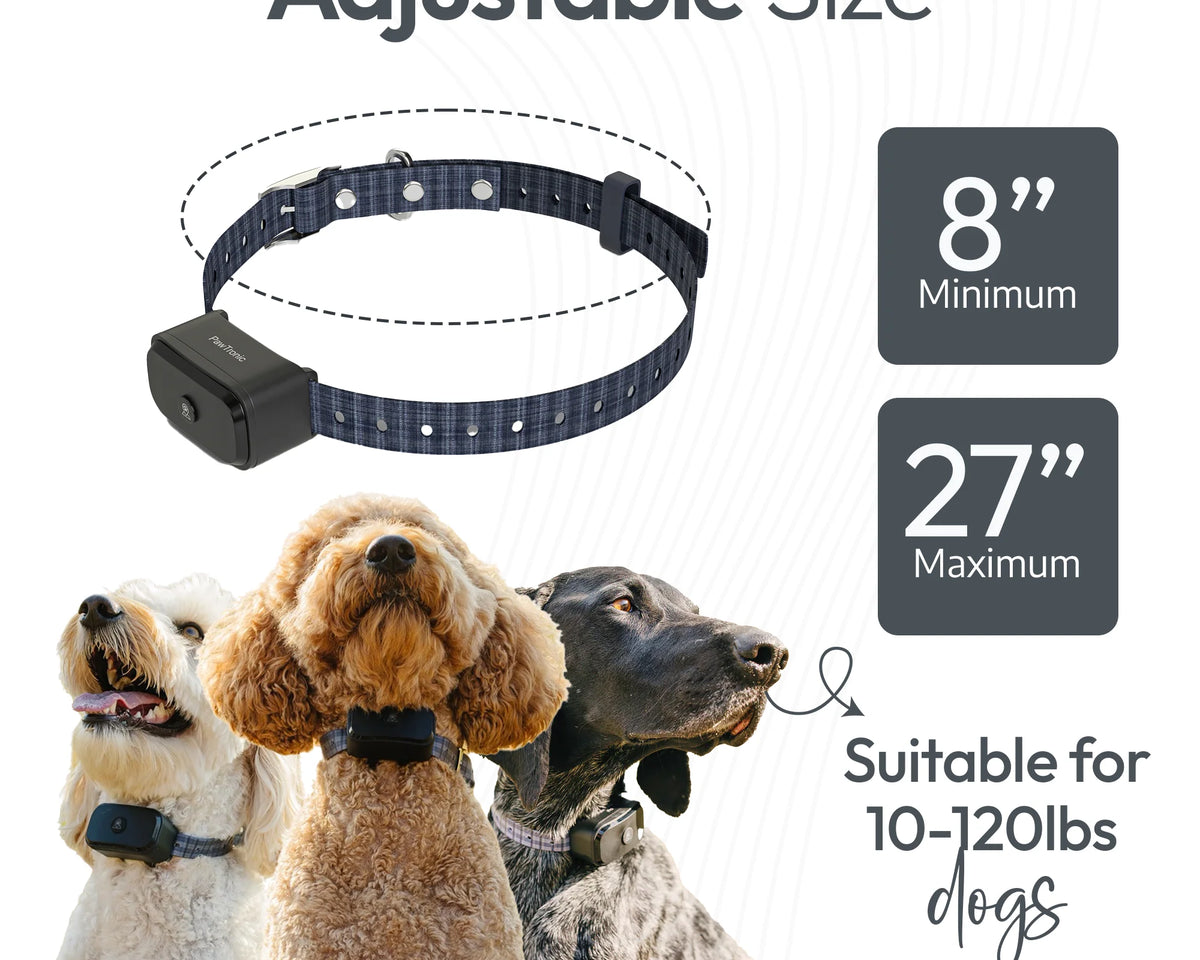 Pawtronic Pro Series: Ultimate Wireless GPS Dog Fence for Unmatched Freedom and Safety