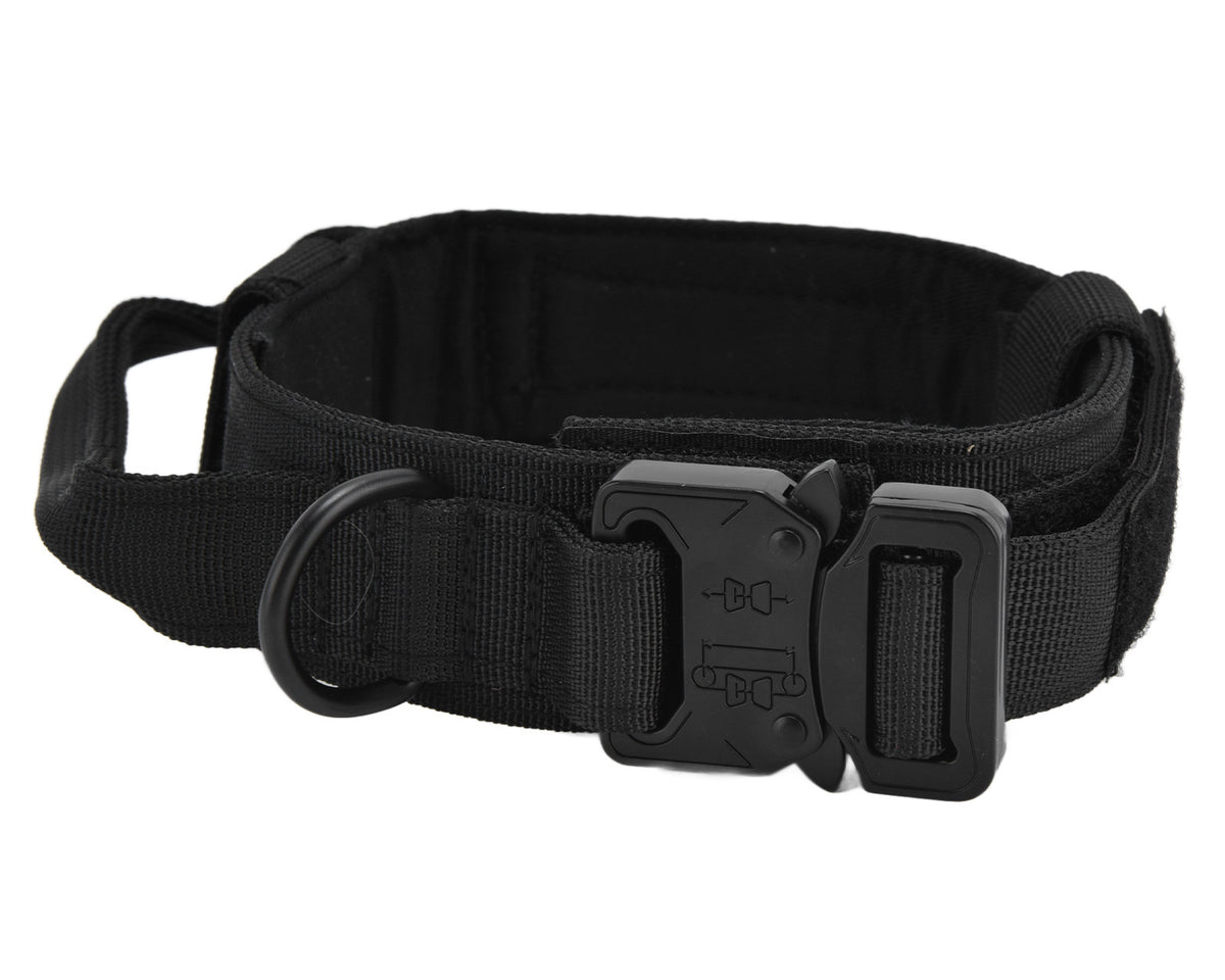 Traction Dog Collar with Buckle Nylon Iron Training Hunting Collar Pet Accessory for OutdoorBlack L