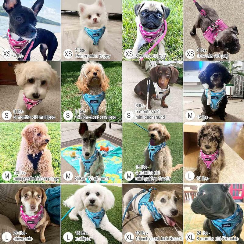 Adjustable No-Pull Dog Harness and Leash Set with Reflective Design and Padded Vest for Extra-Small to Medium Dogs