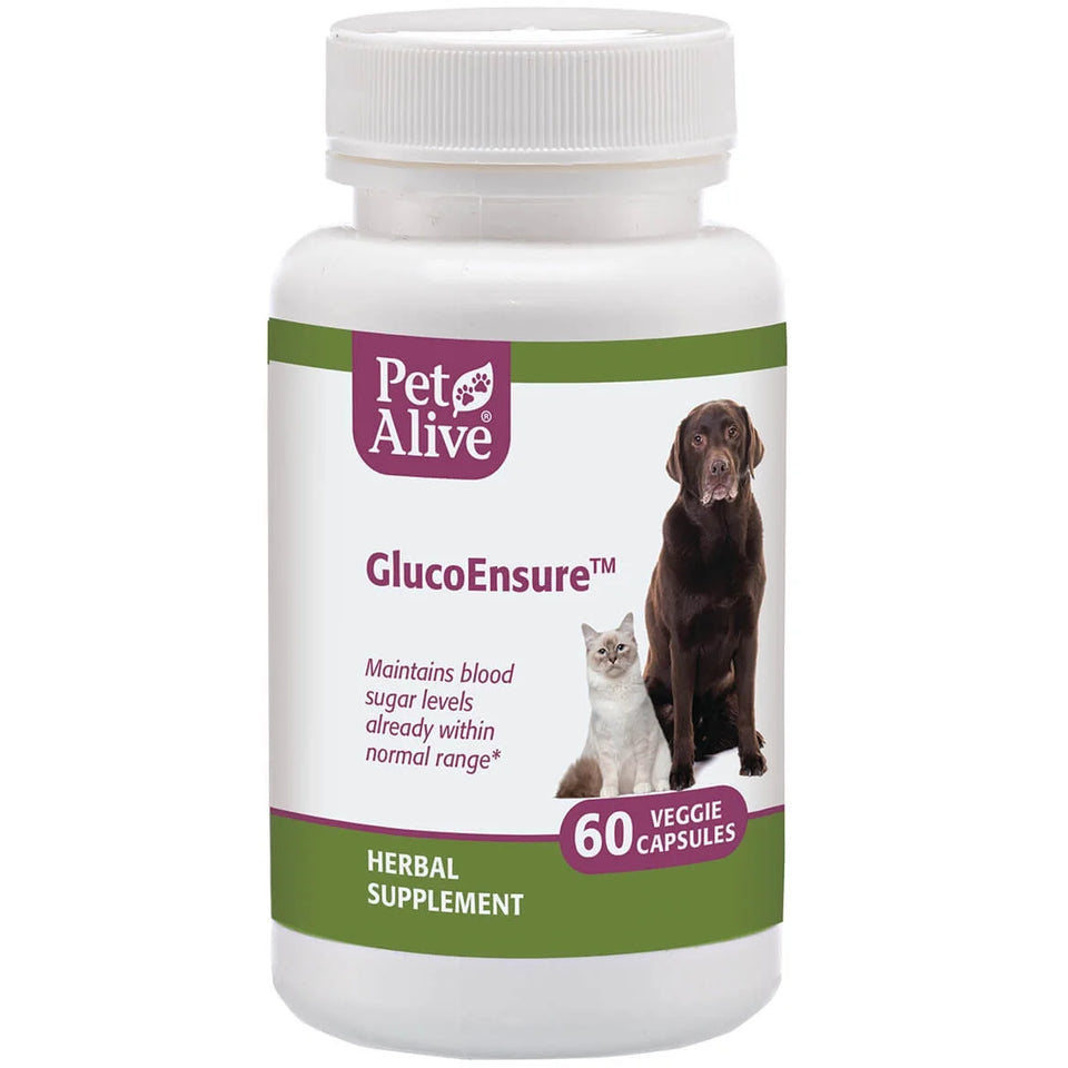 Glucoensure - Natural Herbal Supplement for Healthy Blood Sugar Levels in Pets