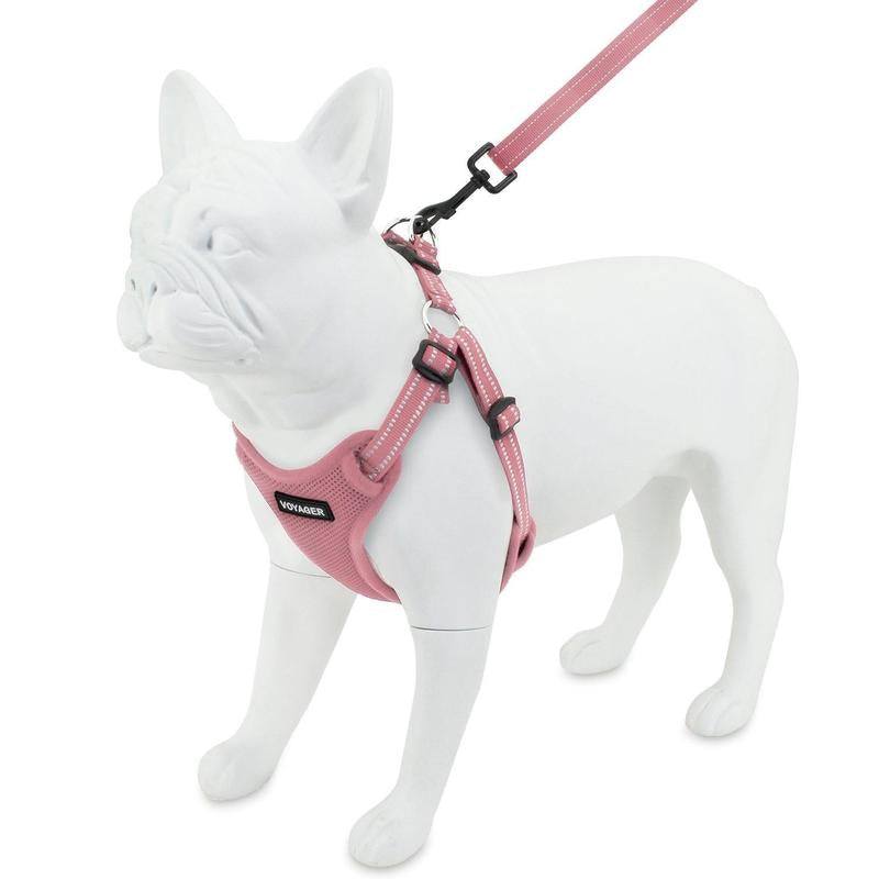 Step-In Flex Harness & Leash Set with Air Mesh