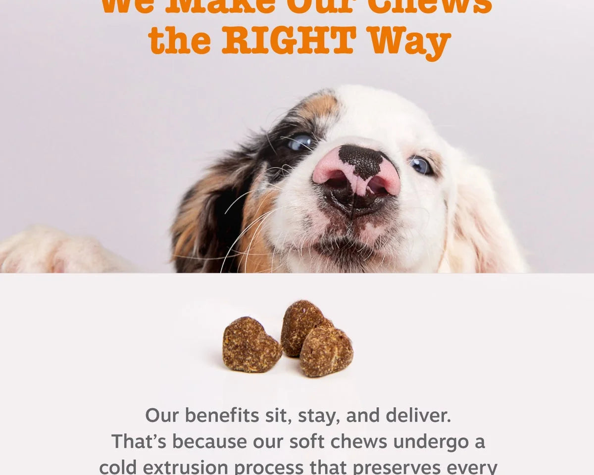 Delicious Pumpkin Flavor Probiotic Bites for Dogs - 3 Pack, 60 Count