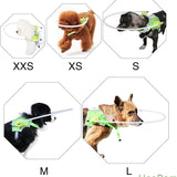 Adjustable No-Pull Dog Harness for Blind Dogs - Easy Walk Quick Fit Vest for Small to Medium Breeds