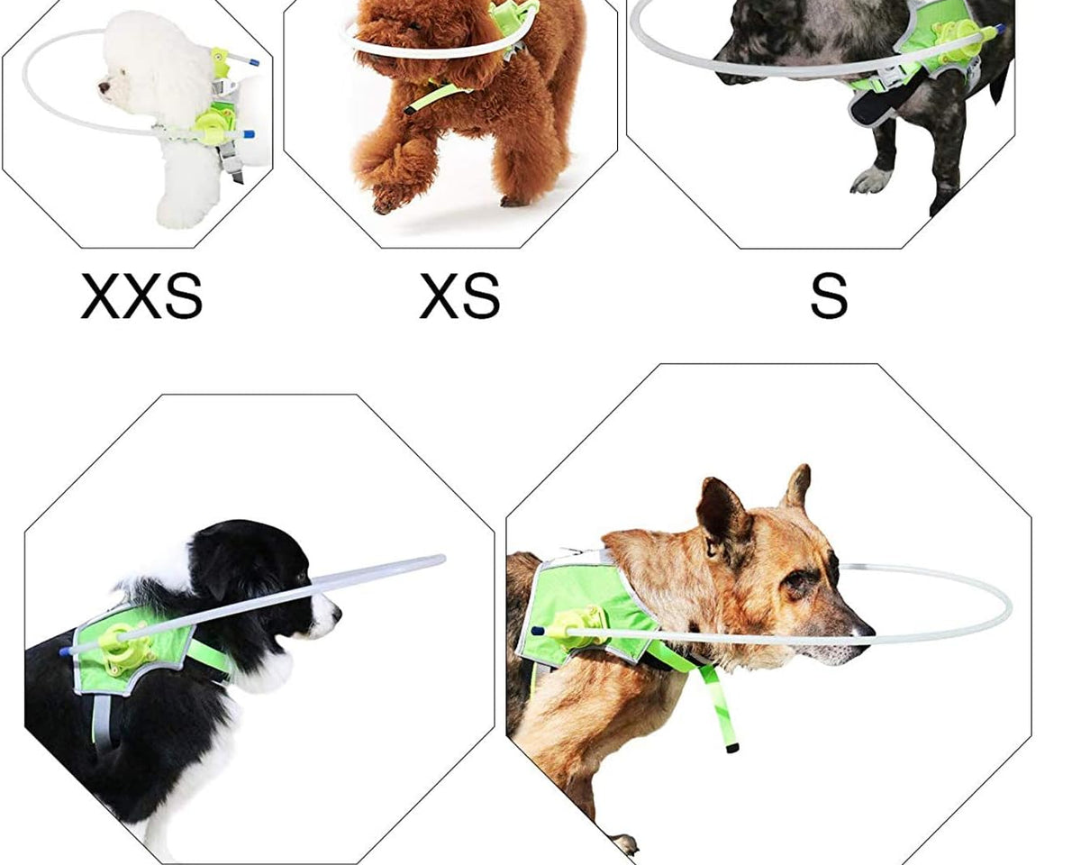 Adjustable No-Pull Dog Harness for Blind Dogs - Easy Walk Quick Fit Vest for Small to Medium Breeds