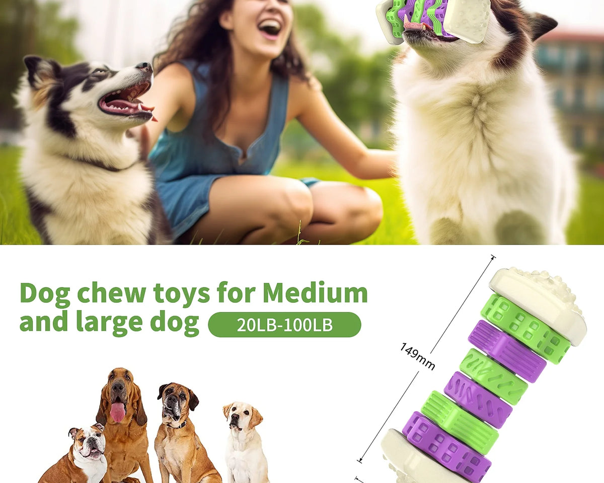 Interactive Dog Chew Toy – Vibrantly Colored Enrichment Toy for Aggressive Chewers