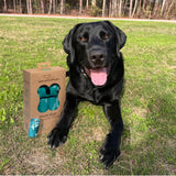 Premium Leak-Proof and Tear-Resistant Dog Waste Cleanup Bags (360 Count) - Durable Outdoor Use - Turquoise