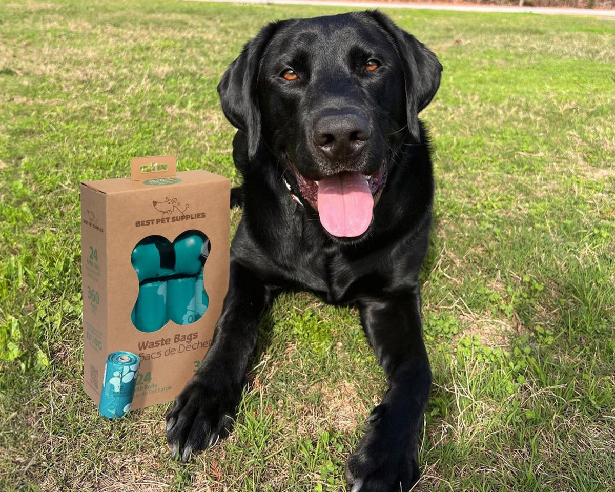 Premium Leak-Proof and Tear-Resistant Dog Waste Cleanup Bags (360 Count) - Durable Outdoor Use - Turquoise