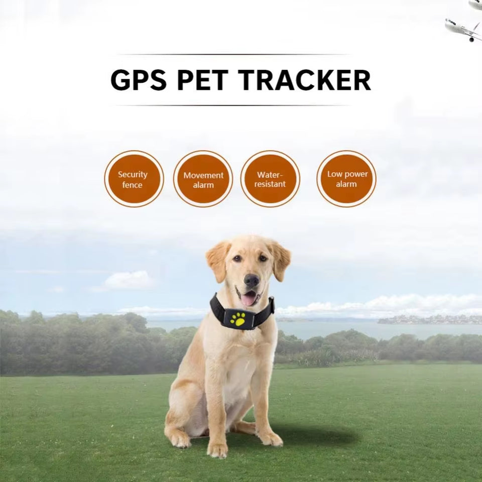 Z8 GPS Pet Tracker - Real-Time Location, Anti-Lost Collar for Dogs & Cats
