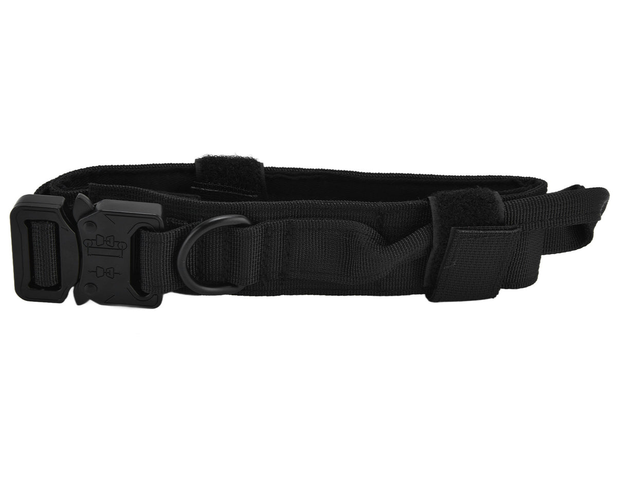 Traction Dog Collar with Buckle Nylon Iron Training Hunting Collar Pet Accessory for OutdoorBlack L