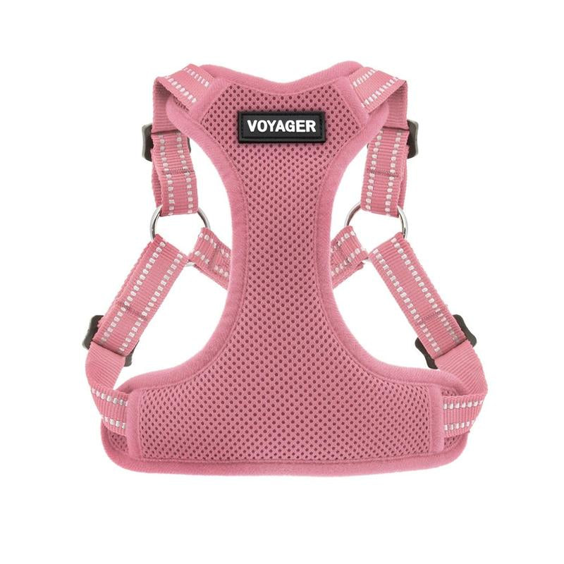 Step-In Flex Harness & Leash Set with Air Mesh