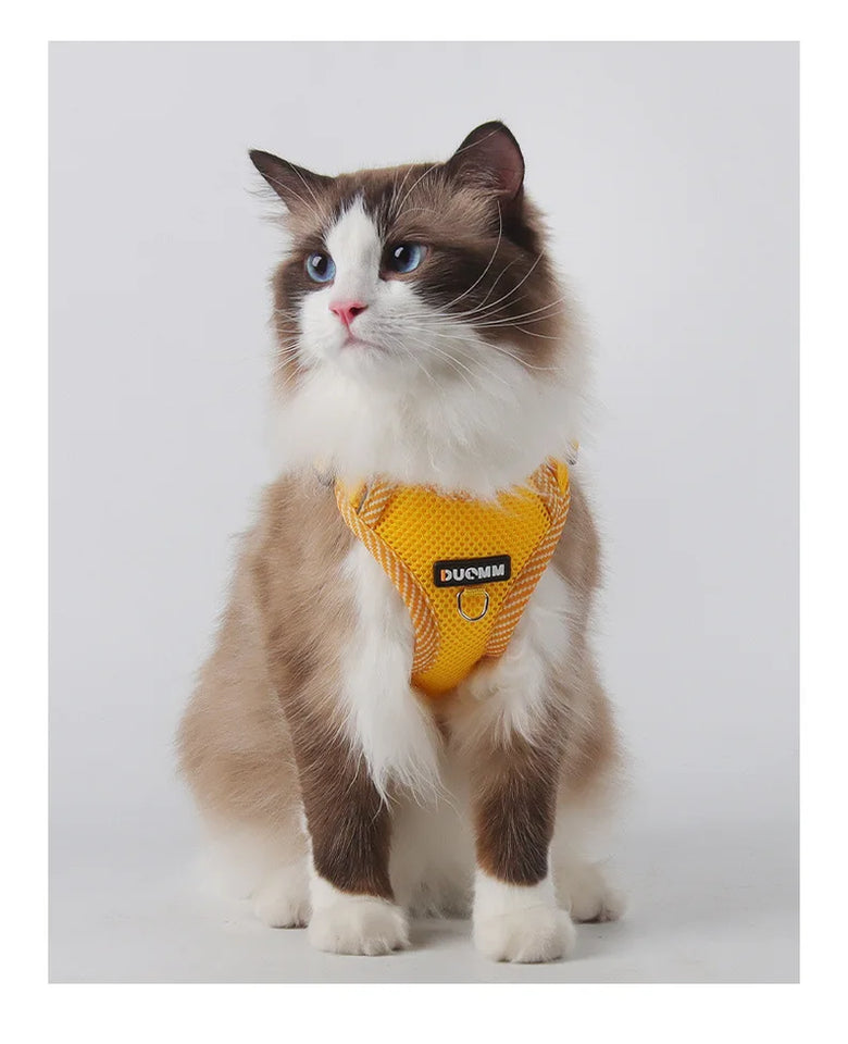 Adjustable Escape-Proof Reflective Cat Harness with Leash - Perfect for Safe Outdoor Walks with Small to Medium Cats and Kittens