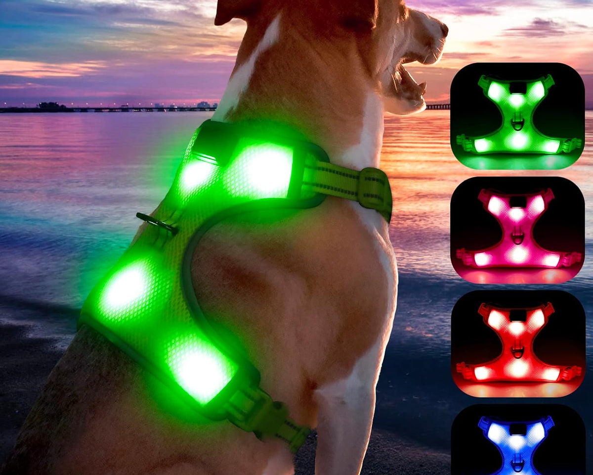 USB Rechargeable LED Dog Harness with Reflective Strips - Adjustable Medium Comfort Fit (Green)