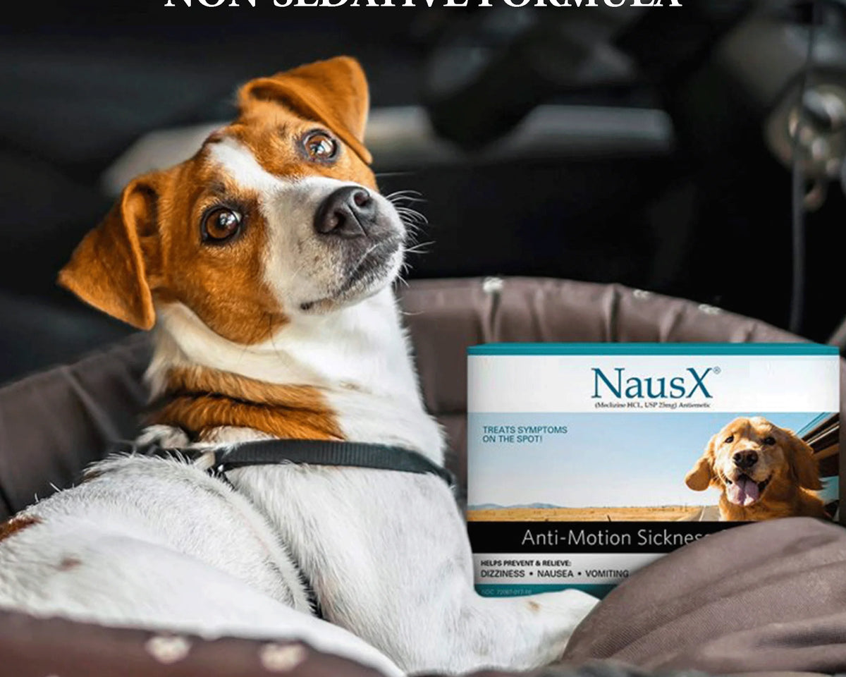 Effective Anti-Motion Sickness Relief for Medium Dogs - 20 Caplets for Disorientation and Dizziness