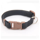VivaNylon Adjustable Dog Collar - My Pet Collective