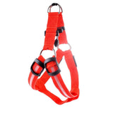 LED Nylon Pet Safety Harness - My Pet Collective LED Nylon Pet Safety Harness