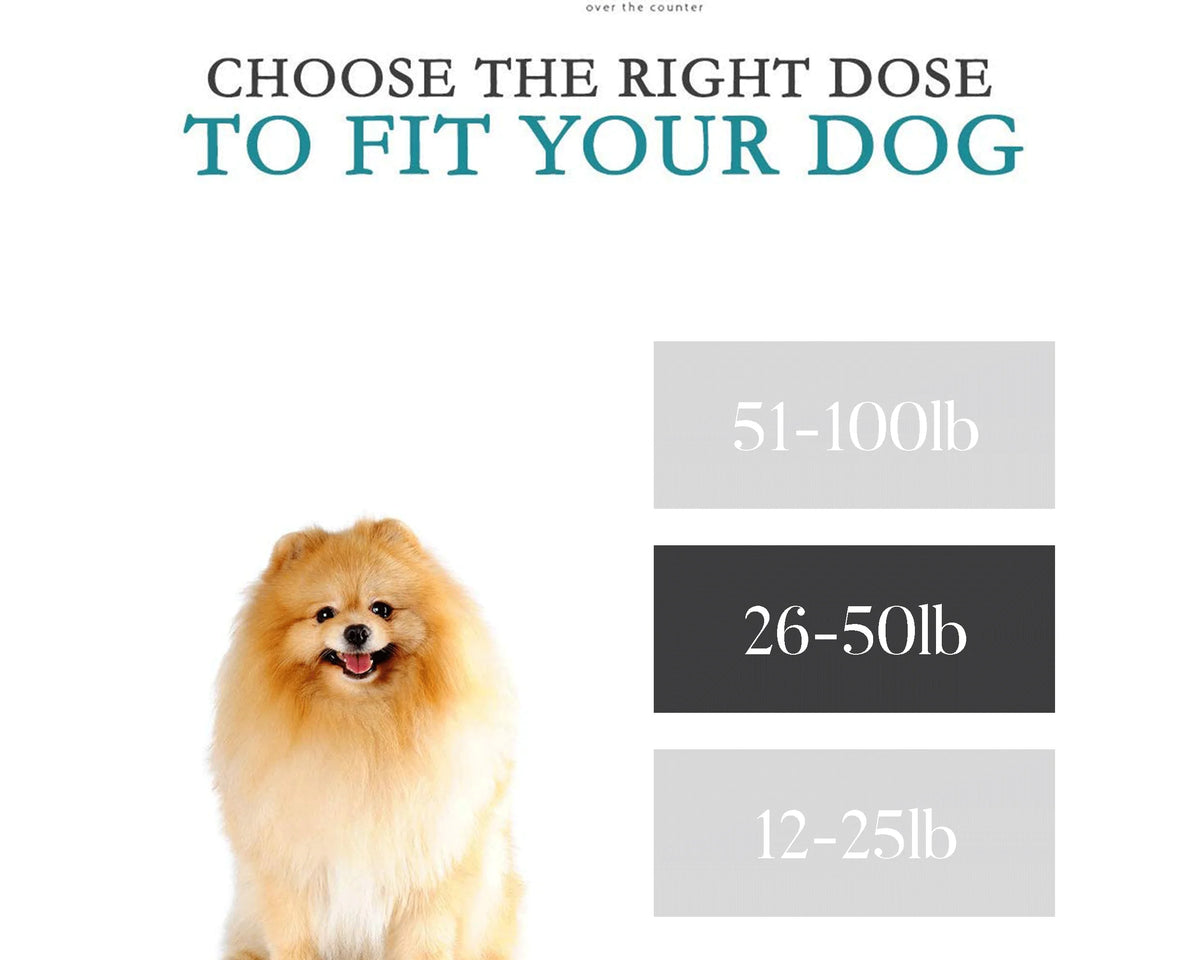 Effective Anti-Motion Sickness Relief for Medium Dogs - 20 Caplets for Disorientation and Dizziness