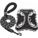 Adjustable No-Pull Dog Harness and Leash Set with Reflective Design and Padded Vest for Extra-Small to Medium Dogs