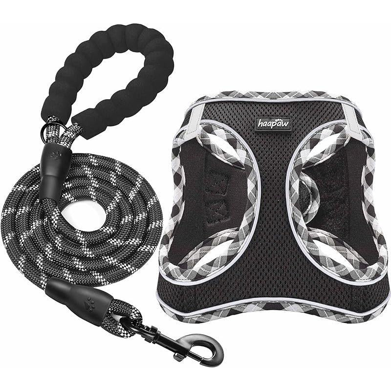 Adjustable No-Pull Dog Harness and Leash Set with Reflective Design and Padded Vest for Extra-Small to Medium Dogs