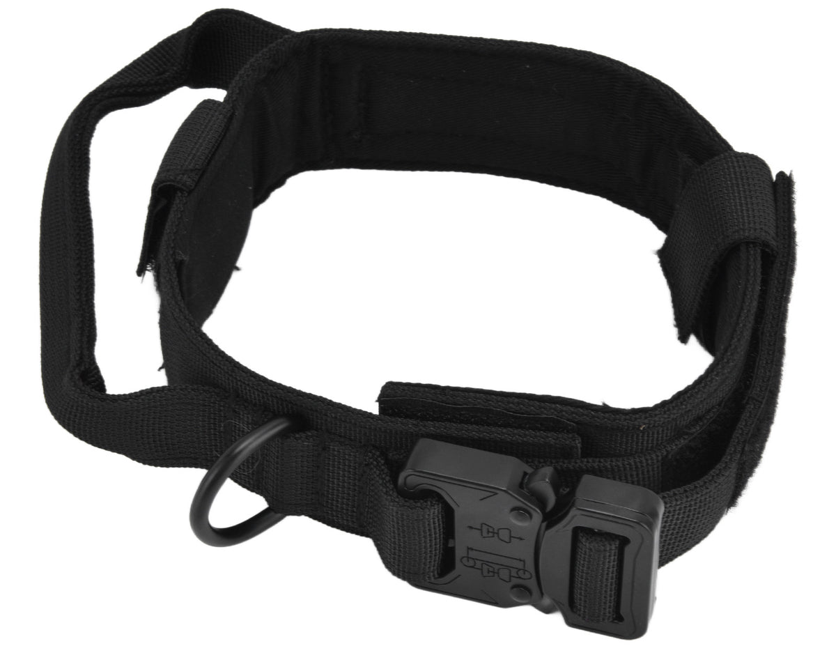 Traction Dog Collar with Buckle Nylon Iron Training Hunting Collar Pet Accessory for OutdoorBlack L