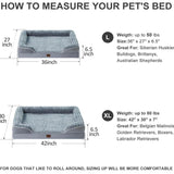 Ultra Comfortable Dog Beds for Medium Dogs