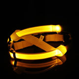 LED Nylon Pet Safety Harness - My Pet Collective LED Nylon Pet Safety Harness